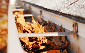 Upper Forge gutter cleaning companies