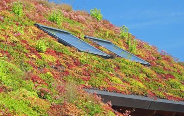 Upper Forge living roof systems